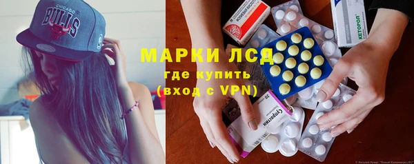 индика Няндома