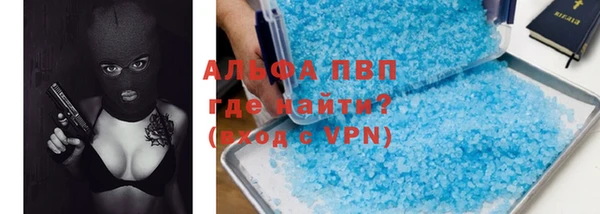 индика Няндома