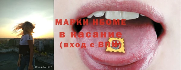 индика Няндома