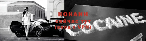 индика Няндома