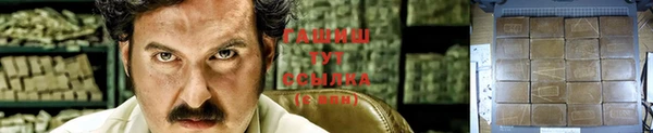 индика Няндома