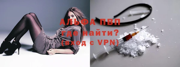 эйфоретик Надым