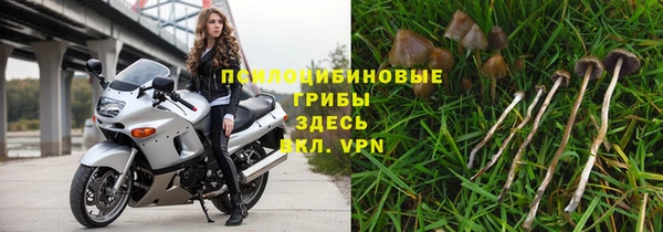 ПСИЛОЦИБИНОВЫЕ ГРИБЫ Нягань