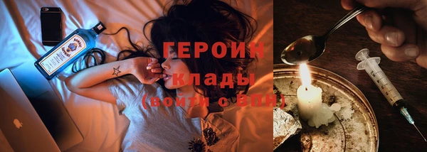 индика Няндома