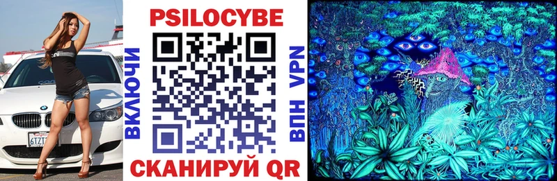 купить   Безенчук  Псилоцибиновые грибы прущие грибы 